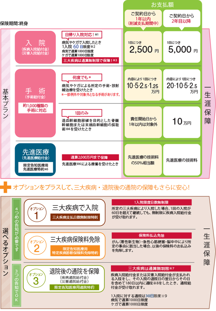 健康をサポートする医療保険　健康のお守り　ハート　ワイド　保障内容